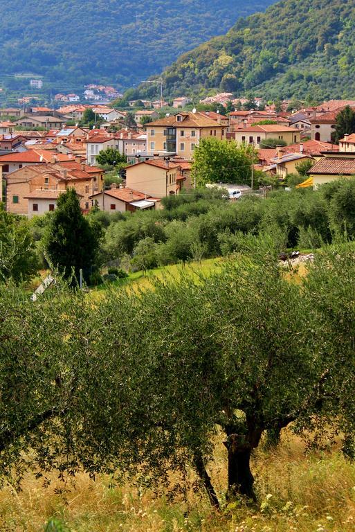 Hotel Miramonti Enoteca Pove del Grappa Exteriör bild